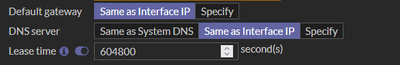 DHCP-DNS.PNG